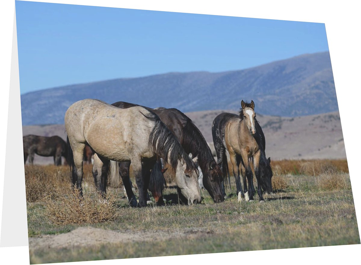 FonDenton_Art's tweet photo. #SendArtNotFlowers! A #Card and a #Frameable 5x7 piece of #Art too! #MothersDay
Find It: https://t.co/rVrSNy17IE
#WildHorse #Horse #Horses #Mustangs #SpringIntoArt #Cards #GreetingCards #Write #Gifts #HolidayCards #Write #BuyIntoArt #TheArtDistrict #HorseLover #PhotographyIsArt https://t.co/eOwl4DUH7E