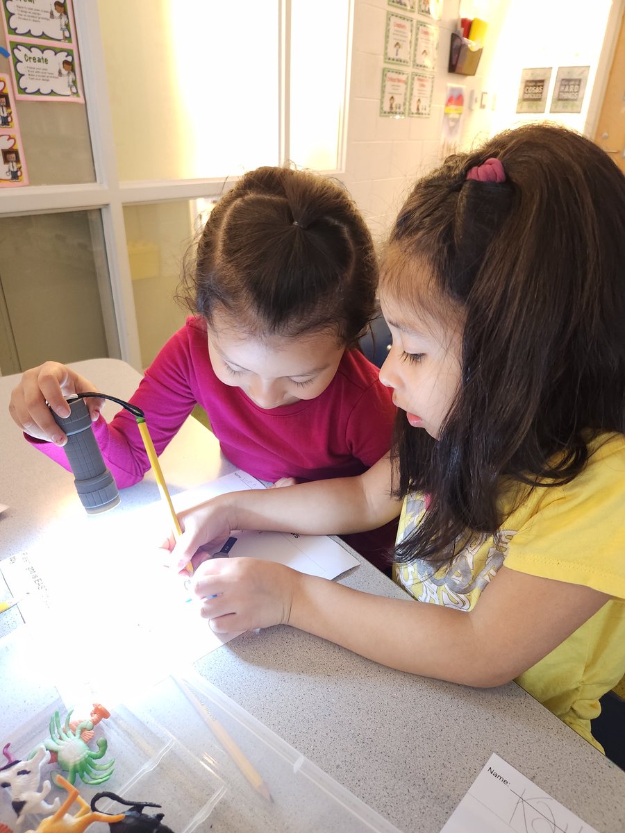 Kinder learning about the sun and shadows.  I love it when they work together.  #QuinnSTEAMing #teamworkmakesthedreamwork <a href="/michelle_shaba/">Michelle Shabaker</a> <a href="/wajprincipal/">Carlos A. Patiño</a>