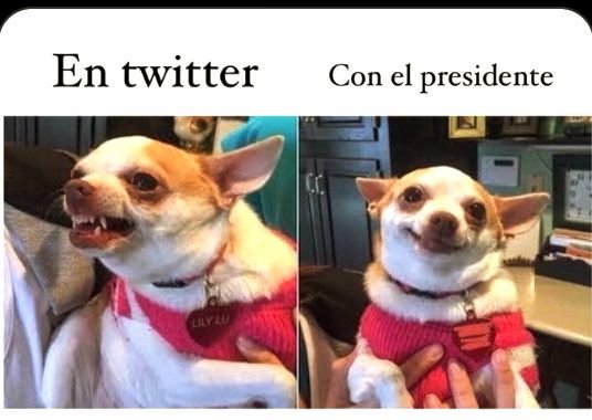 VICTORIA tweet media
