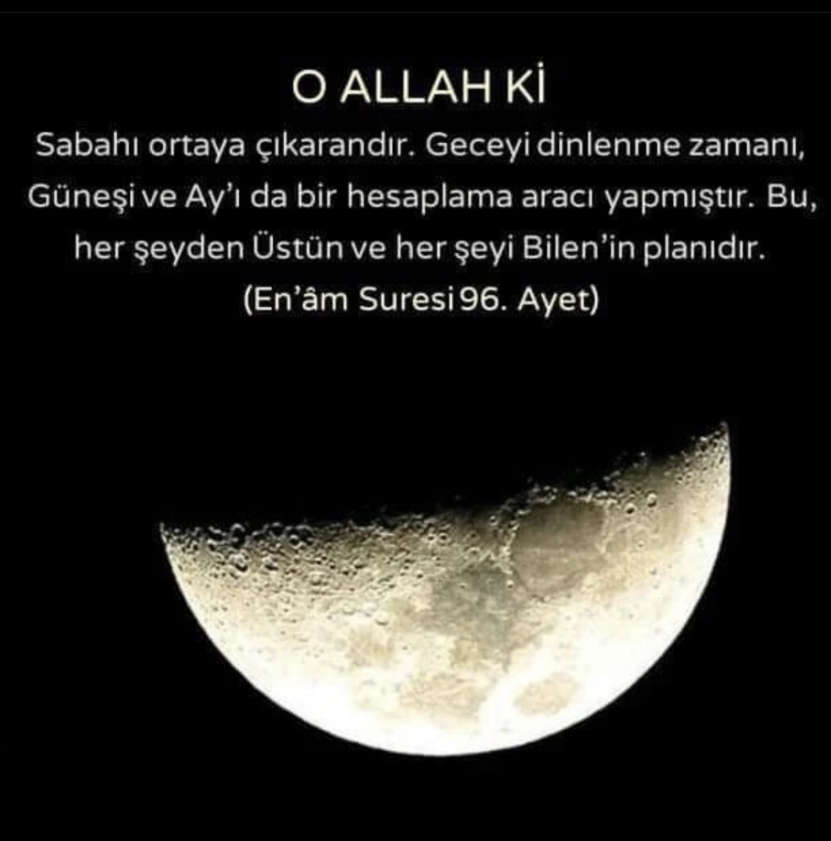 SSelen23's tweet photo. https://t.co/G2tnYShVgU