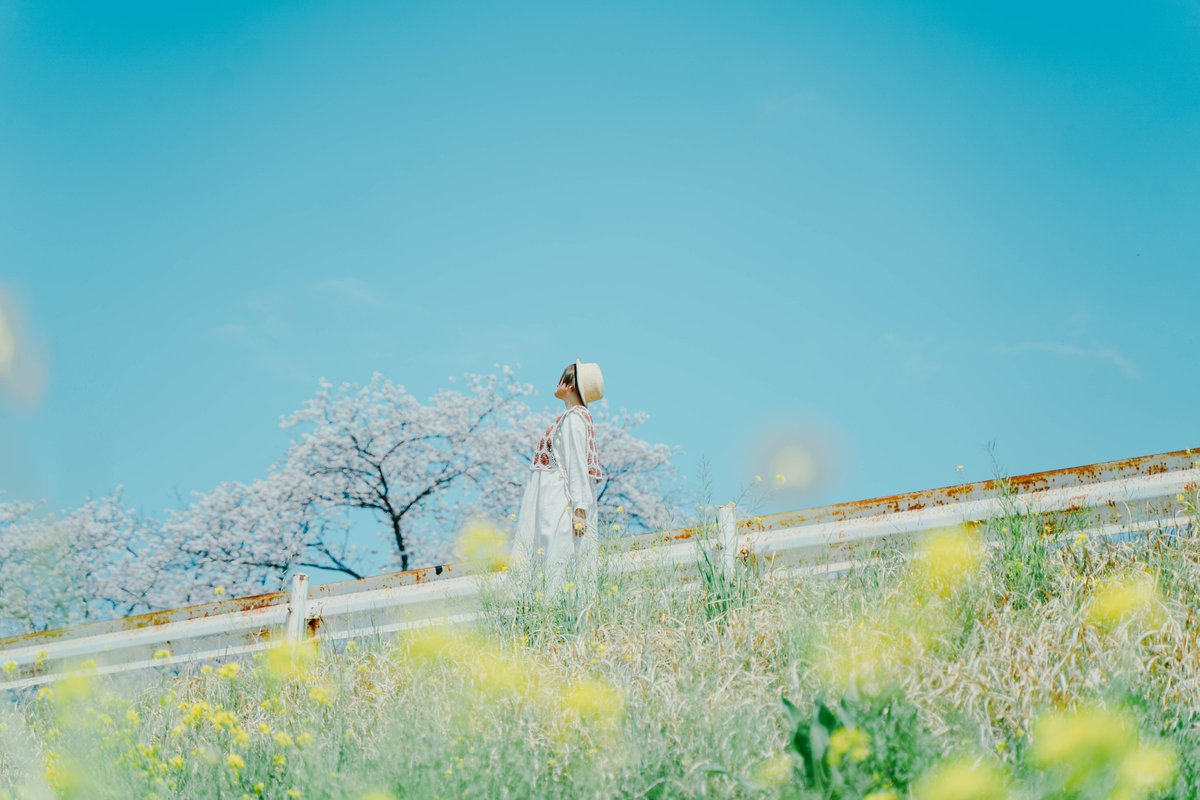 sako_photo's tweet photo. 名残惜しい春。

with @tabisuruokami https://t.co/4EQk4E20Vf