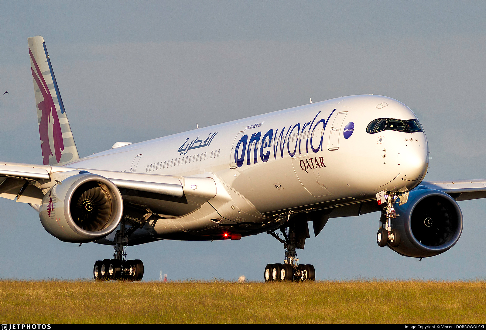 Qatar Airways A350 Oneworld Livery Airbus Qatar Airways Oneworld qatar-airways-a350-oneworld-livery-airbus-qatar-airways-oneworld
