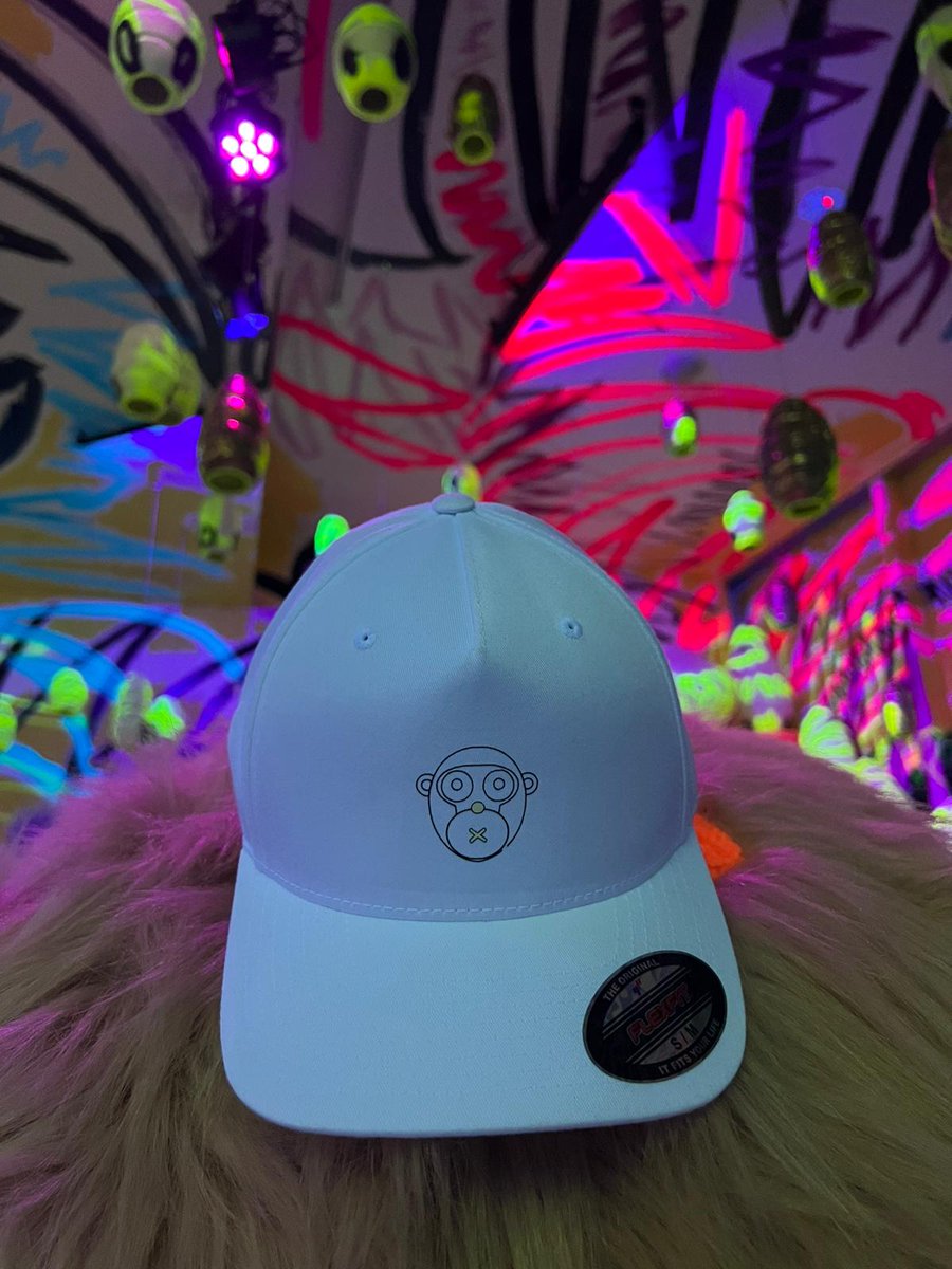 MatthewCarneval's tweet photo. @apecoiner @BoredApeYC can i get a hat too ? https://t.co/XGZOpKvrB7