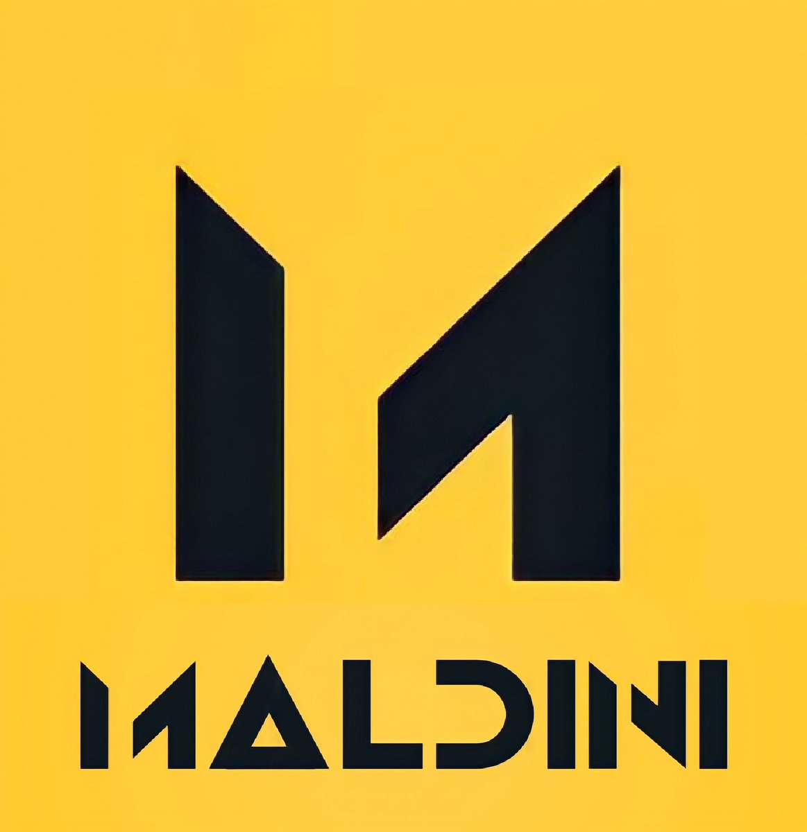 DJ MALDINI tweet media