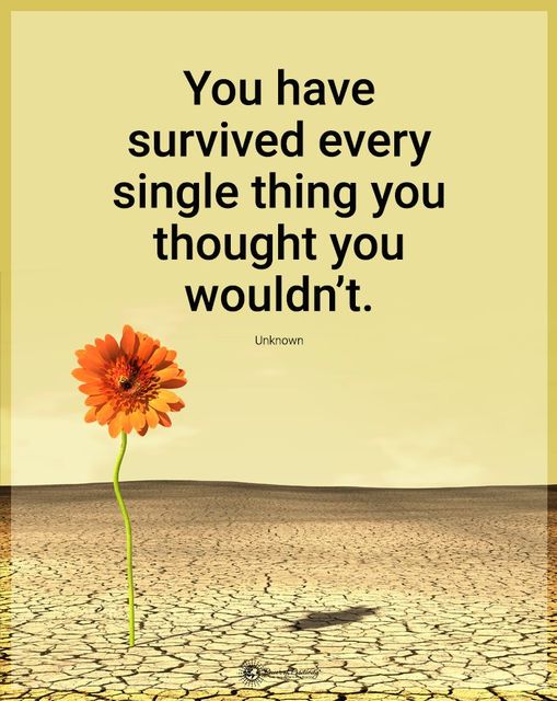 “You have survived every single thing…”