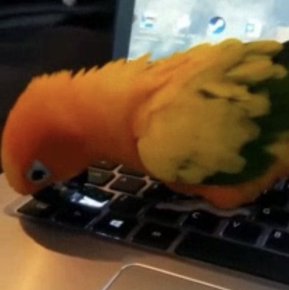 humbracker's tweet image. ime,    Deestroiye