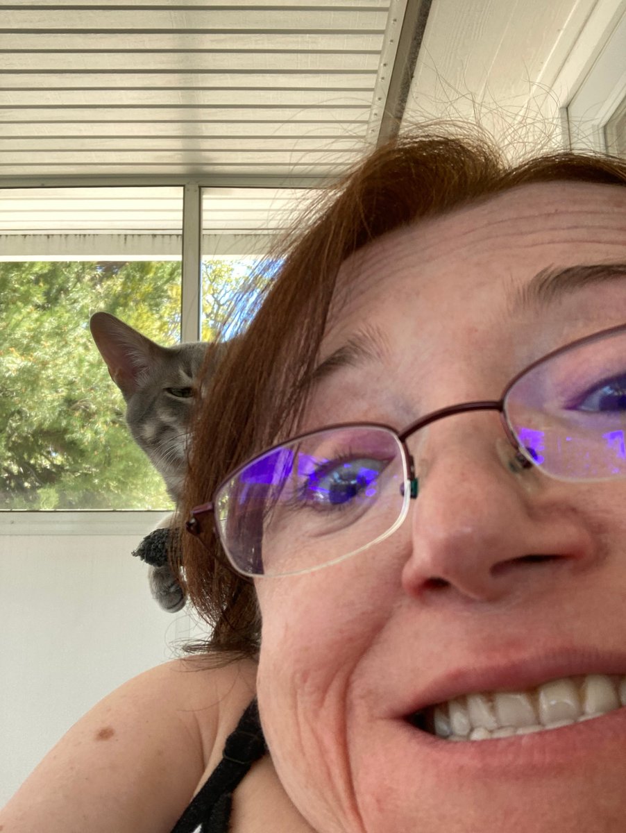 JaneHashCNHP's tweet photo. We take the best bad selfies ever! #shortarms #giantcat #dwarfproblems #CaliforniaDream #goobers https://t.co/6gR0BrzXGF