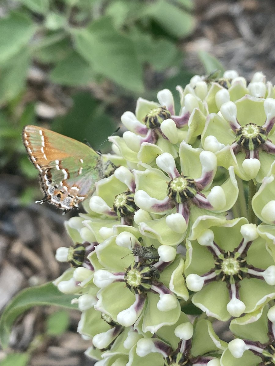 morgan (@beepdobeepdo) on Twitter photo 