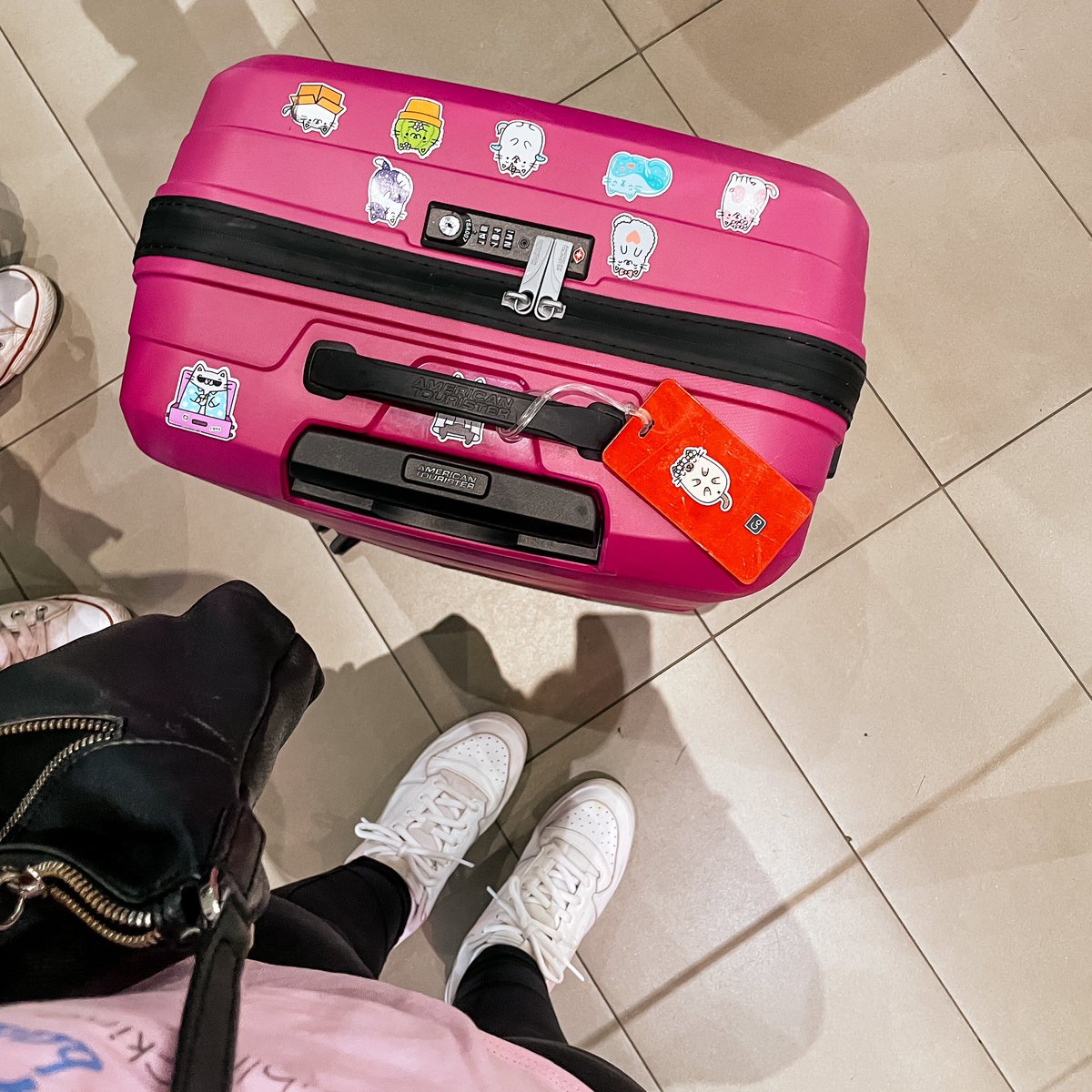 🐈 <a href="/catstickersnft/">Cat Stickers</a> keeping me company all the way to New York ✨