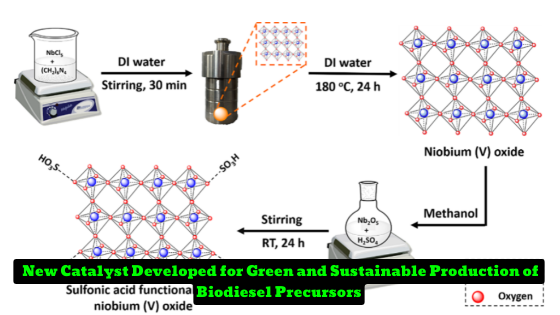 Efficient Heterogeneous Catalyst for Biodiesel Precursor Production: A Study