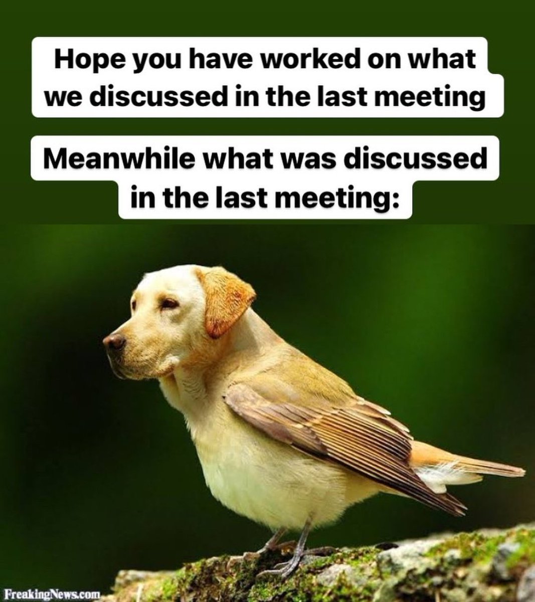 Office discussion be like 

#office #Wednesday