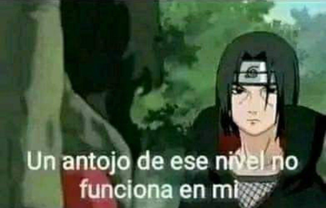 362Pozole's tweet photo. @lilokL3 Mejor sube fototeta y fotovagina, pero se ven deliciosas tus ttas https://t.co/JOEdyBUhjW
