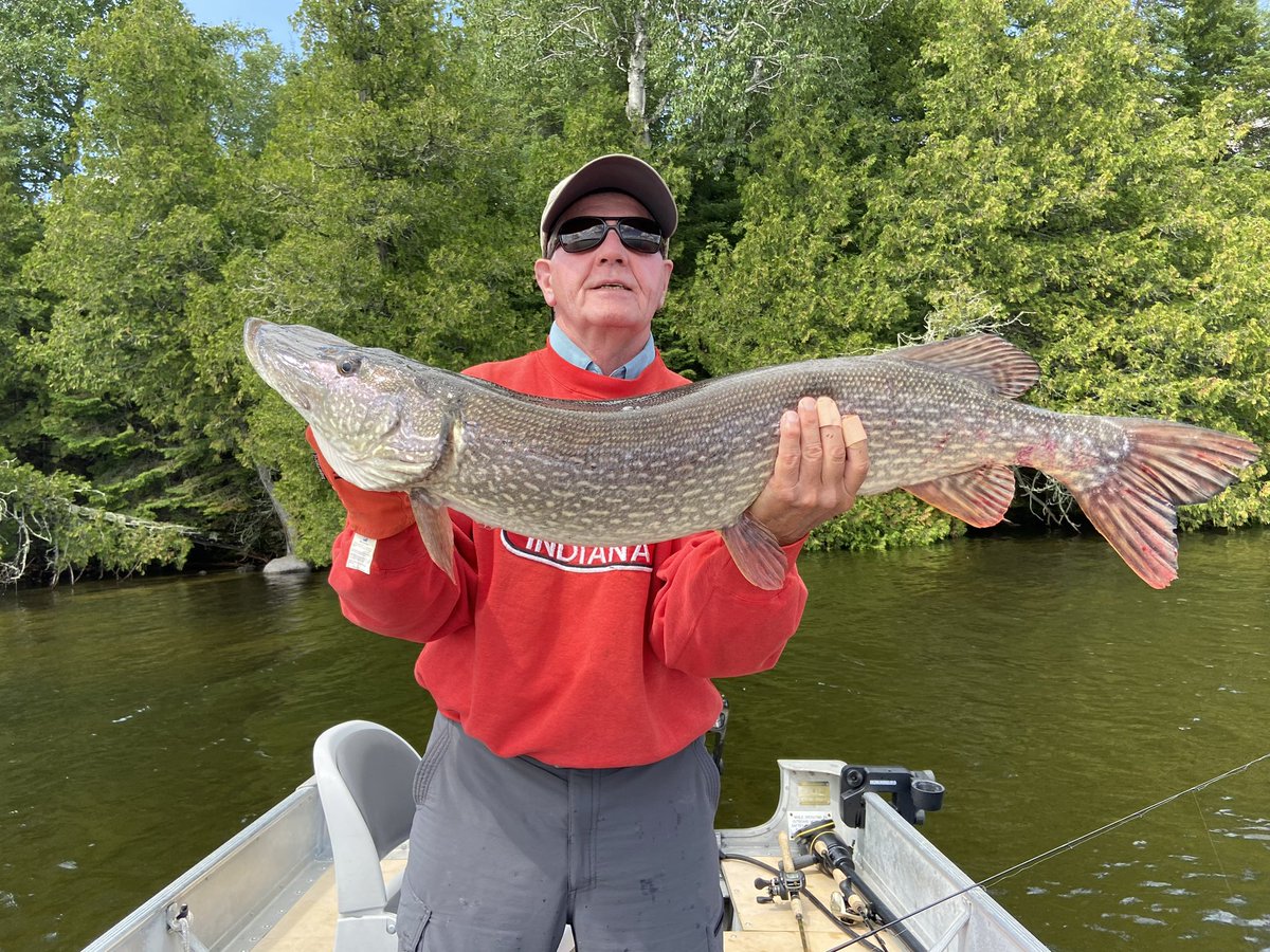 FiresideFish's tweet image. Great BIG Northern Pike caught  at Fireside Lodge in Northwest Ontario by David Drake from Terra Haute, IN 

Join Us on Instagram instagram.com/fireside.lodge/ 
See us at airbnb.ca/users/42559636…
Website firesidelodge.com
