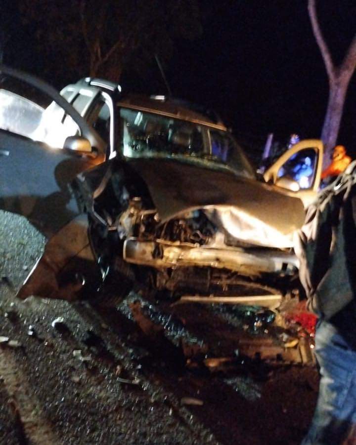 jorgezuluagao's tweet image. 🚨 Atención 🚨 Reportan a esta hora un accidente en Puerto Triunfo. Un vehículo chocó contra un hipopótamo. El hecho ocurrió en la autopista Medellín - Bogotá a 5 kilómetros del corregimiento Dorado.