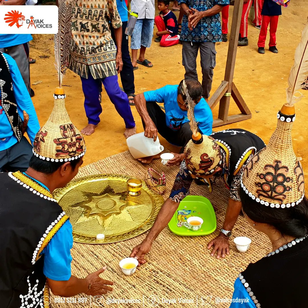 VoicesDayak's tweet photo. Minum Tuak
Postingan Lengkap;
https://t.co/RY0Bgbs1Xo
#dayakvoices #jpickalimantan #dayakbercerita #kalimantantengah #indonesia #dayak #budayadayak #adatdayak #kontendayak #bumi #festivalkampung #tuak https://t.co/DY39JfKxct