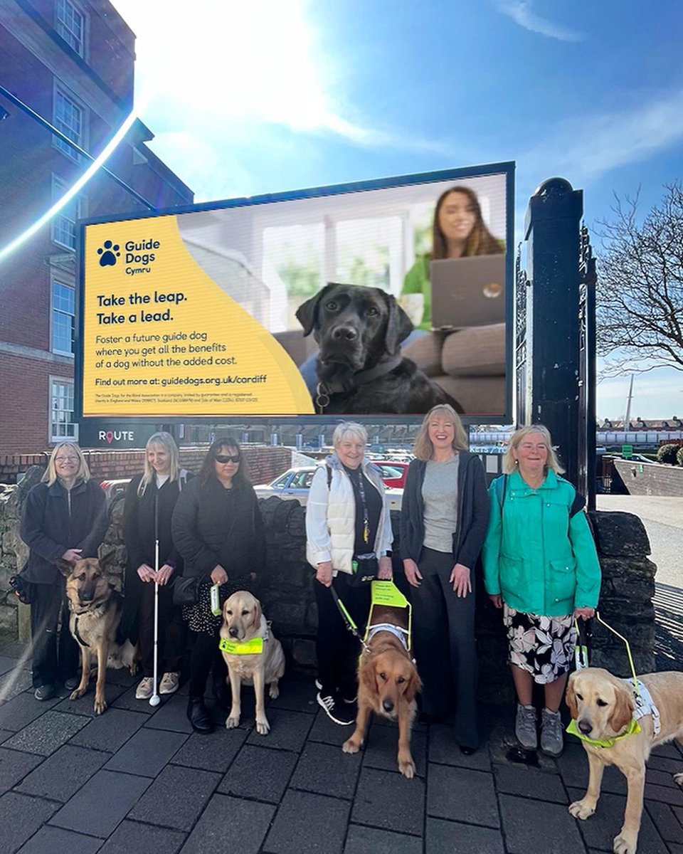 RouteMediaUK's tweet photo. We’re so proud to support the Mayor’s chosen charity @GuideDogsCymru showcasing their latest fostering campaign on our popular screens in key locations across Wales🏴
To read the full press release, click the link below⬇️
https://t.co/J7BbCQI3Cn
#charity #pr #guidedogscymru https://t.co/uMFdAOzpMp