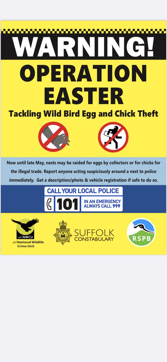 RuralPolicingSC's tweet photo. Please remember that getting too close with a camera can disturb nesting birds. #opeaster covers the taking of eggs and chicks but in modern times, this also encompasses other methods of disturbance. Observe don’t disturb and please report suspicious activity. #233 https://t.co/9FqlUiEP3Q