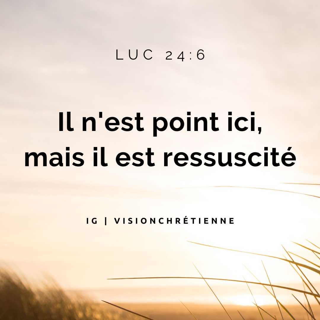 Vision_VC tweet picture
