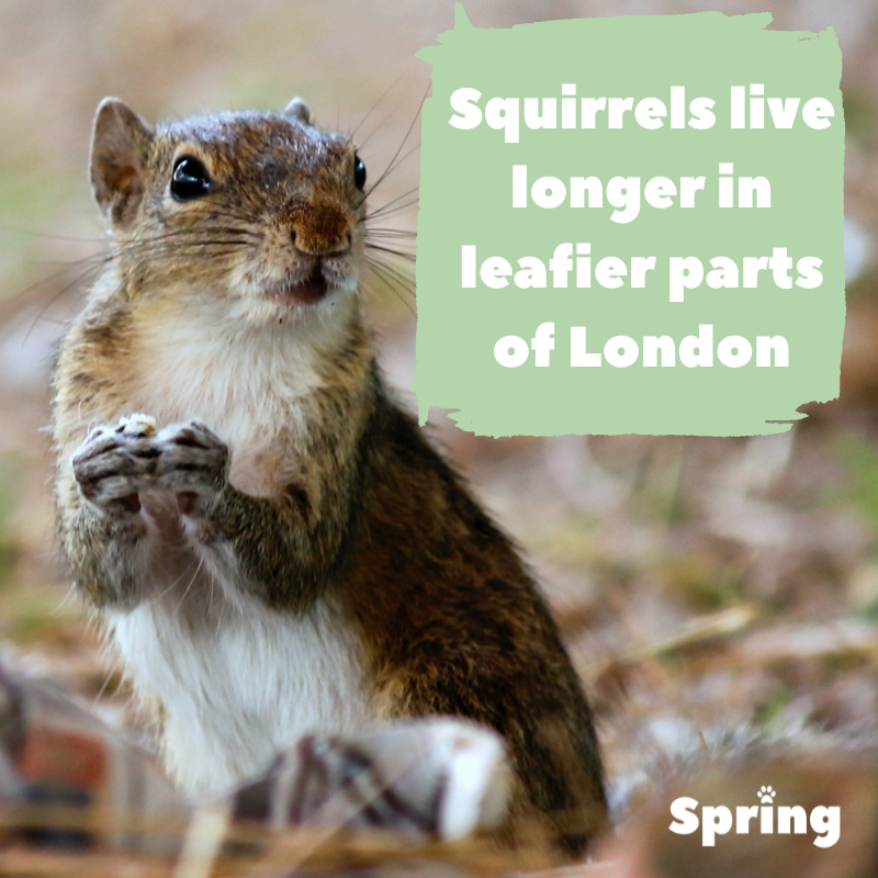 SpringPetsUK's tweet image. Imagine what this is doing to our insides 🤮

👉🏼 Read more here: theguardian.com/science/2023/a…