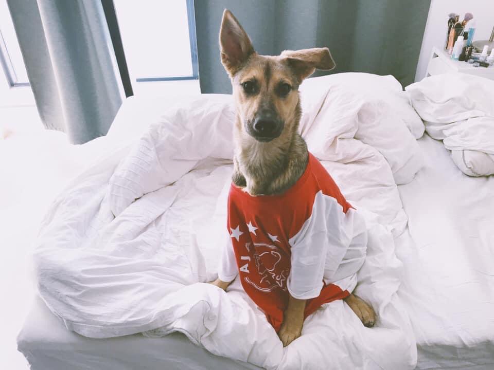 Daphna & Dobby tweet media