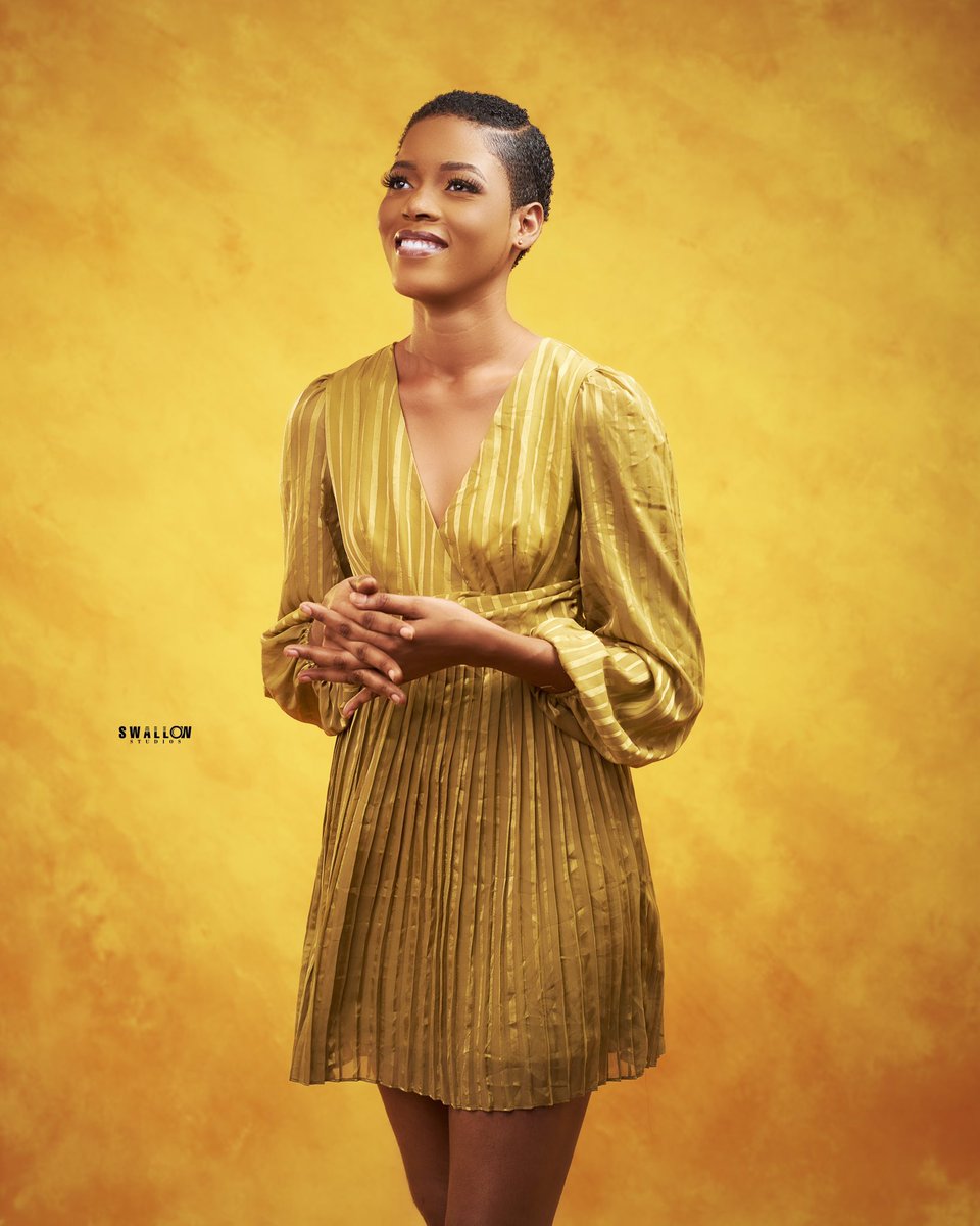 📸 Swallow Studios