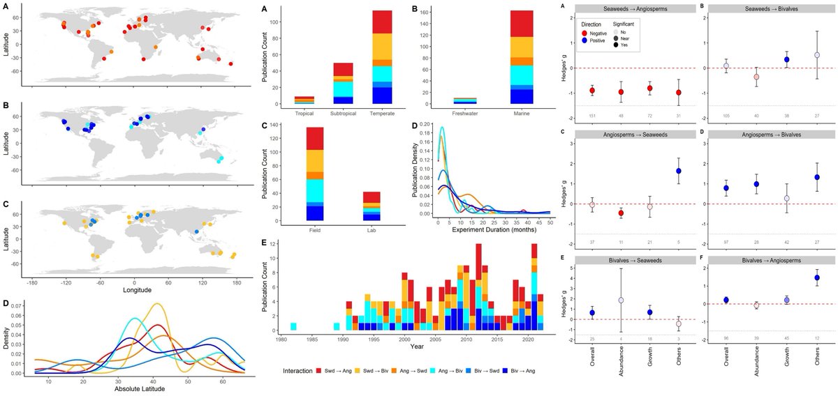 My first PhD paper is now in <a href="/JEcology/">Journal of Ecology</a> ✨ A new meta-analysis on aquatic foundation species interactions. 🔗: bit.ly/3KkMRhh