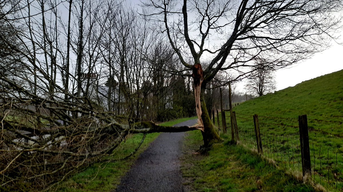 JonathanHumble's tweet photo. Overnight wind damage
#OutWithArthur #Cumbria https://t.co/4xnUbWYsuC