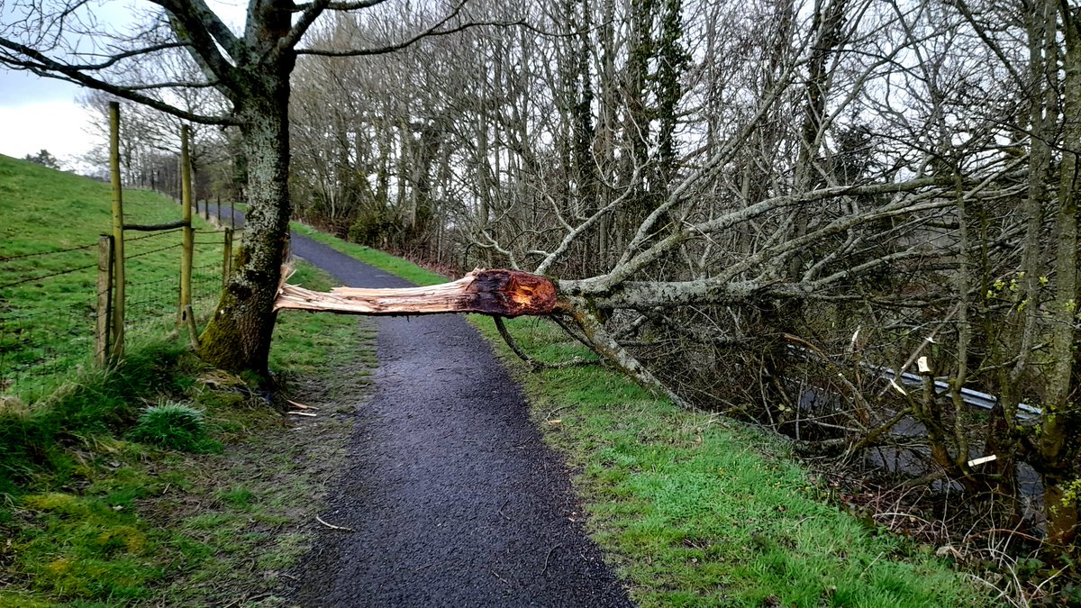 JonathanHumble's tweet photo. Overnight wind damage
#OutWithArthur #Cumbria https://t.co/4xnUbWYsuC
