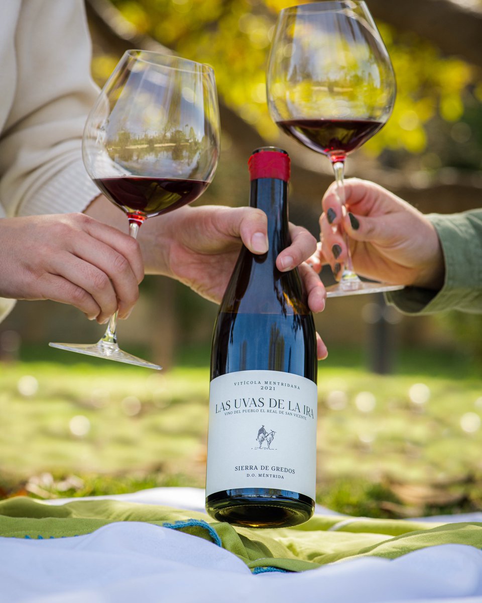 Las Uvas de la Ira 2021 es la última añada de un tinto que nace de seis viñedos de garnacha plantados hace 70 años en El Real de San Vicente (Sierra de Gredos). Crianza de 11 meses. Aromas de frutas de bosque, ligero en boca y final agradable. #vinodeldía bit.ly/3Ku4750