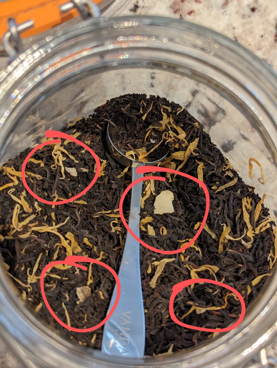 realMattLittle's tweet photo. Numerous pieces in my tea https://t.co/ASCvOo3vV0