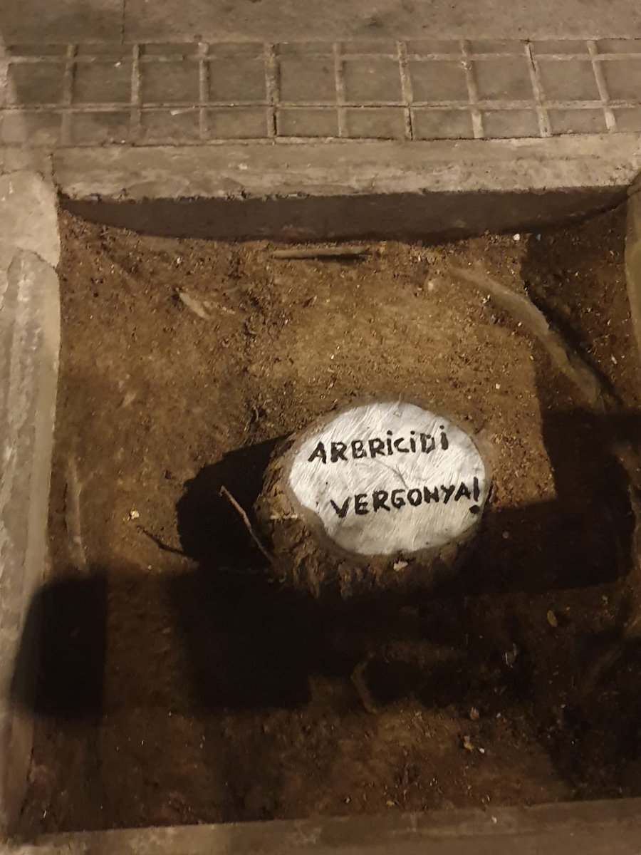 <a href="/eloibadia/">Eloi Badia Casas</a> He plantat 968 arbres, quants a Vila de Gràcia ? Heu comptat els que heu tallat ? En el tram de travessera de gracia entre torrent de l'olla fins a Milà I Fontanals comptem 10 arbres tallats