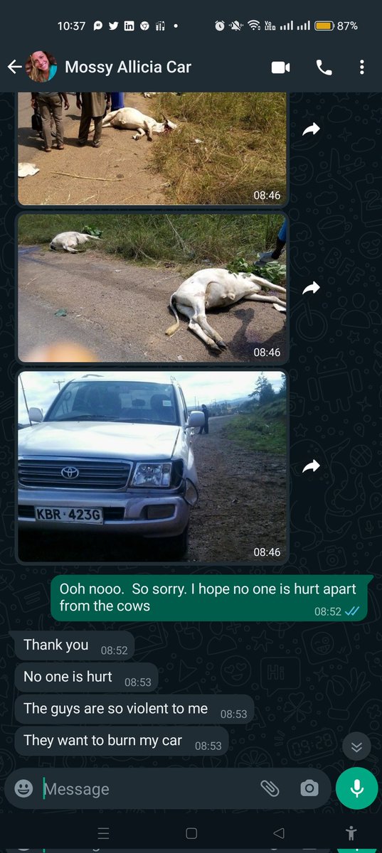 amoswave's tweet photo. @Ma3Route @dotelyent She's hit the same cows again.  Aki  I have tried negotiating with those guys but wapi .. KBR 423G has been burnt. https://t.co/kwVlJirAGl