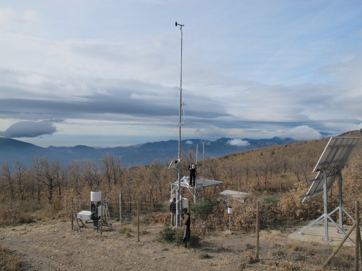 #SmartEcoMountains aims to provide answers to the current societal environmental problem.

In Sierra Nevada #biodiversity is a key pillar for these answers.⛰️

🎯Our goal is to create large and diverse collections of datasets that can be widely accessed

👉smartecomountains.lifewatch.dev