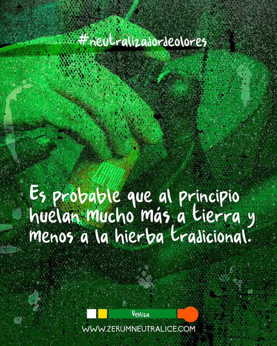 ZerumNeutralice's tweet photo. 3/4 #hilo
Durante este tiempo, pueden empezar a desarrollar un ligero aroma, pero es probable que al principio huelan mucho más a tierra y menos a la hierba tradicional.
#olor #herbal #zerumpro #zerumgel #hierba #floracion #primavera #tierra https://t.co/RvWKZBDzEX