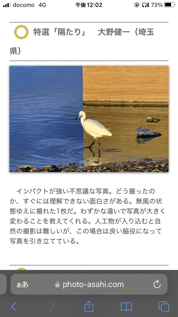 信じられますか？この写真1枚撮りなんです！