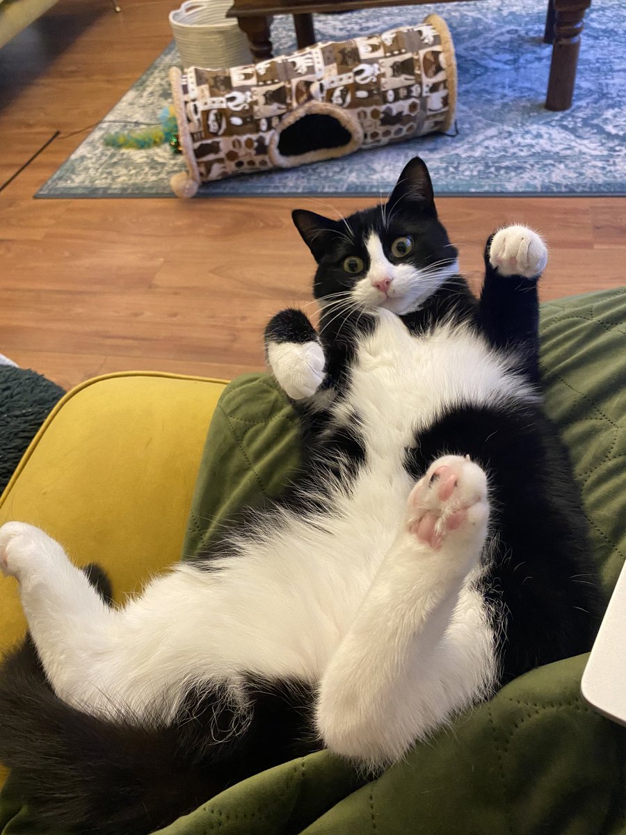 JustJess tweet media