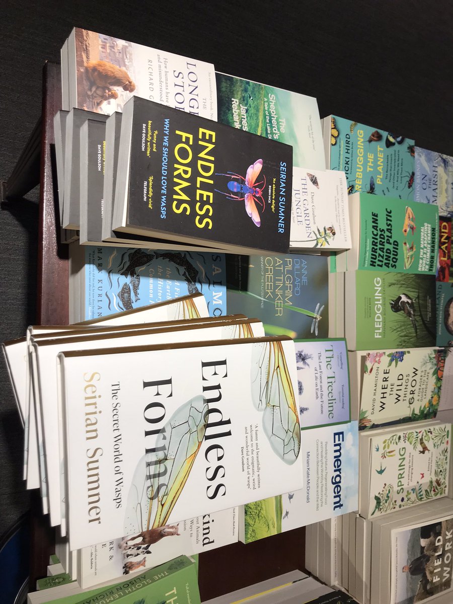 WaspWoman's tweet image. Still get a buzz (ahem.. 🙄) from spotting #EndlessForms - Why we Should Love Wasps - in the shops. Today spotted in #Oxford’s @blackwelloxford and #IndieBooks @GulpFictionBlog, surrounded by some of my fav fellow insect authors @BugEric @LChittka 🐝🐝🐝#waspemoiji