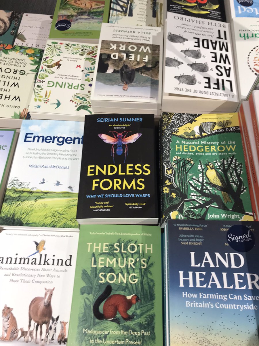 WaspWoman's tweet image. Still get a buzz (ahem.. 🙄) from spotting #EndlessForms - Why we Should Love Wasps - in the shops. Today spotted in #Oxford’s @blackwelloxford and #IndieBooks @GulpFictionBlog, surrounded by some of my fav fellow insect authors @BugEric @LChittka 🐝🐝🐝#waspemoiji