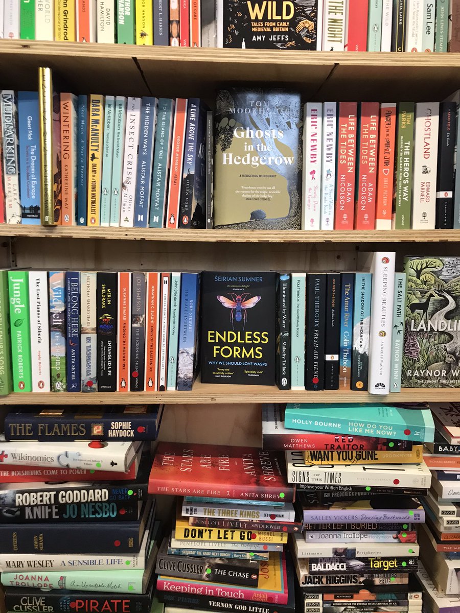 WaspWoman's tweet image. Still get a buzz (ahem.. 🙄) from spotting #EndlessForms - Why we Should Love Wasps - in the shops. Today spotted in #Oxford’s @blackwelloxford and #IndieBooks @GulpFictionBlog, surrounded by some of my fav fellow insect authors @BugEric @LChittka 🐝🐝🐝#waspemoiji