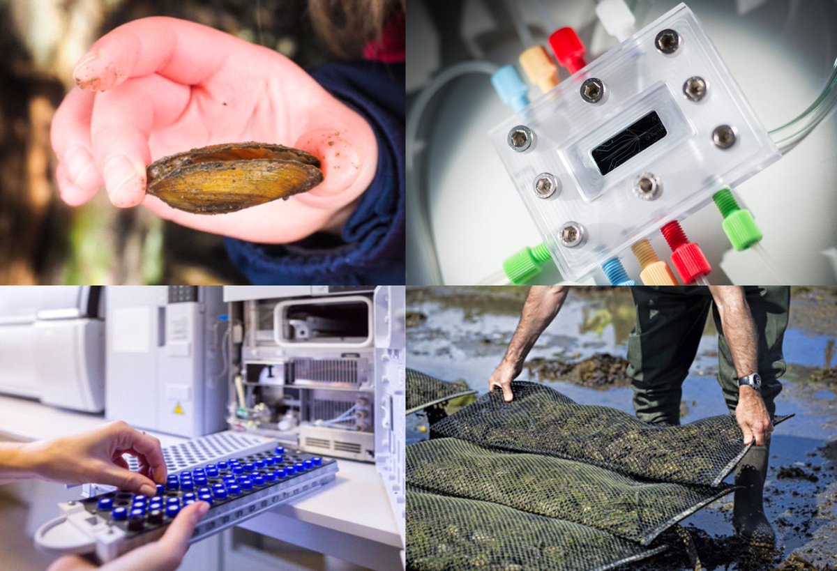 COASTALProject_'s tweet photo. 📣Coastal Project, funded by @EEAGrantsPT  is now on Twitter! 
👉Follow us for the latest results!!

@CESAM_Univ 
@UnivAveiro 
@ipma_pt 
@SINTEF 
@UniNMBU 

#sensor #microfluidics #toxin #marine #sustainable #aquaculture #foodsafety https://t.co/cUl5weBJHp