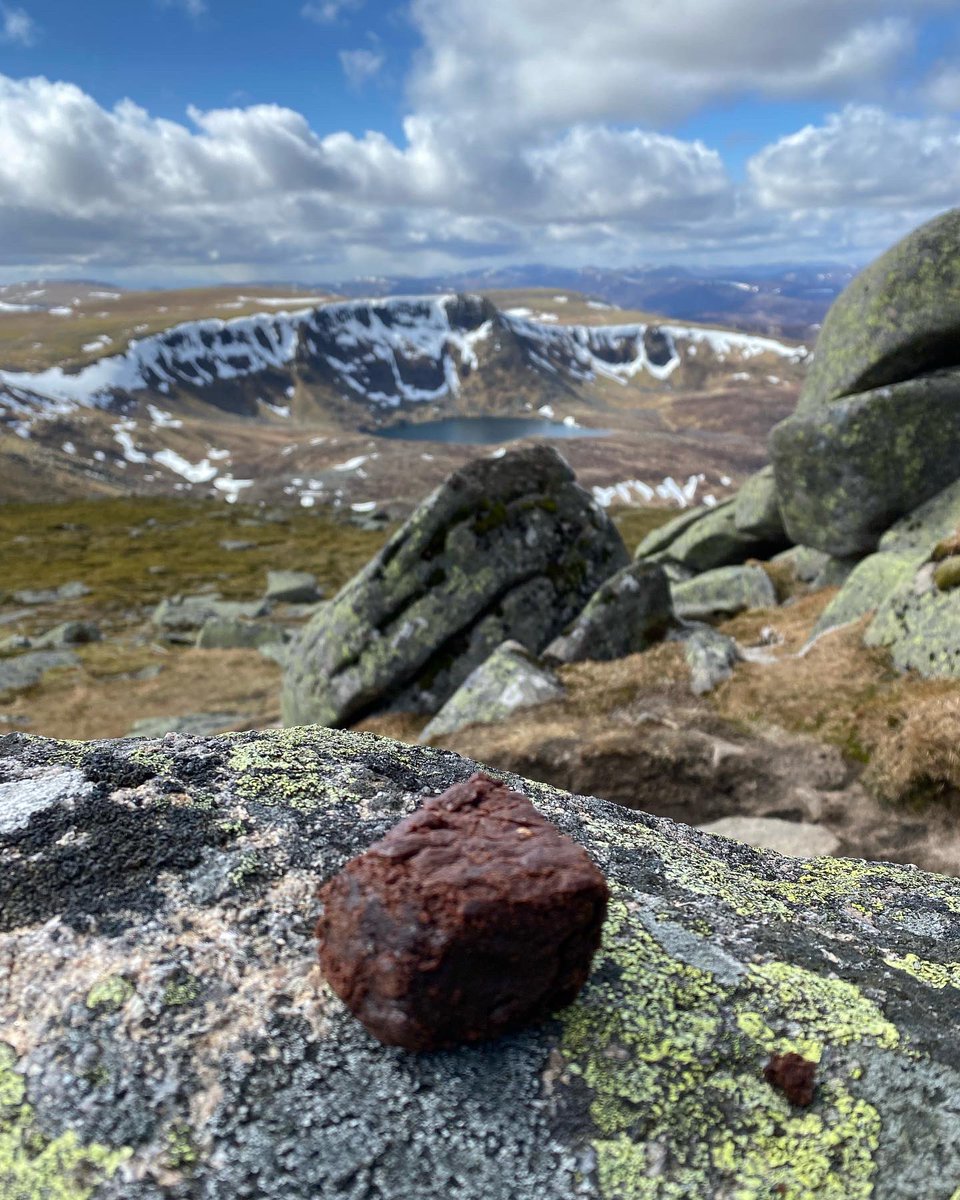 sarahjbingham's tweet photo. Hill cake is the best cake ( as long as your hands arenโt too cold!! #hillcake #mountaincake https://t.co/bxVlSgbmP4