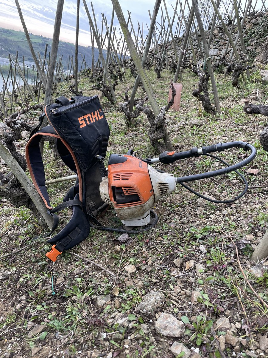 Using the FR-410 between the vines of Côte-Rôtie, on the hill of « La Landonne »  #Landonne #côterôtie #STIHL #DomaineRostaing <a href="/VoiceHenry/">Henry Voice</a> <a href="/STIHL/">A. STIHL AG & Co. KG</a>_GB @STIHL
