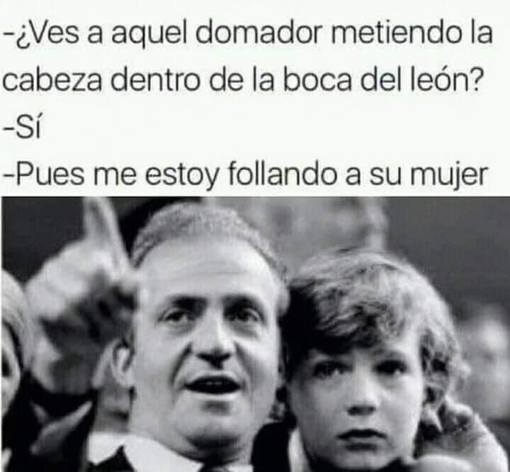alfrefo_daniel's tweet photo. El retorno del asaltacamas https://t.co/wZfZnhKEOC