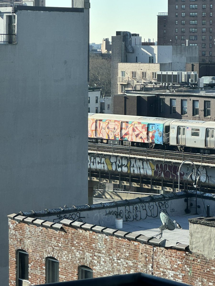 G-Bo The Pro tweet media