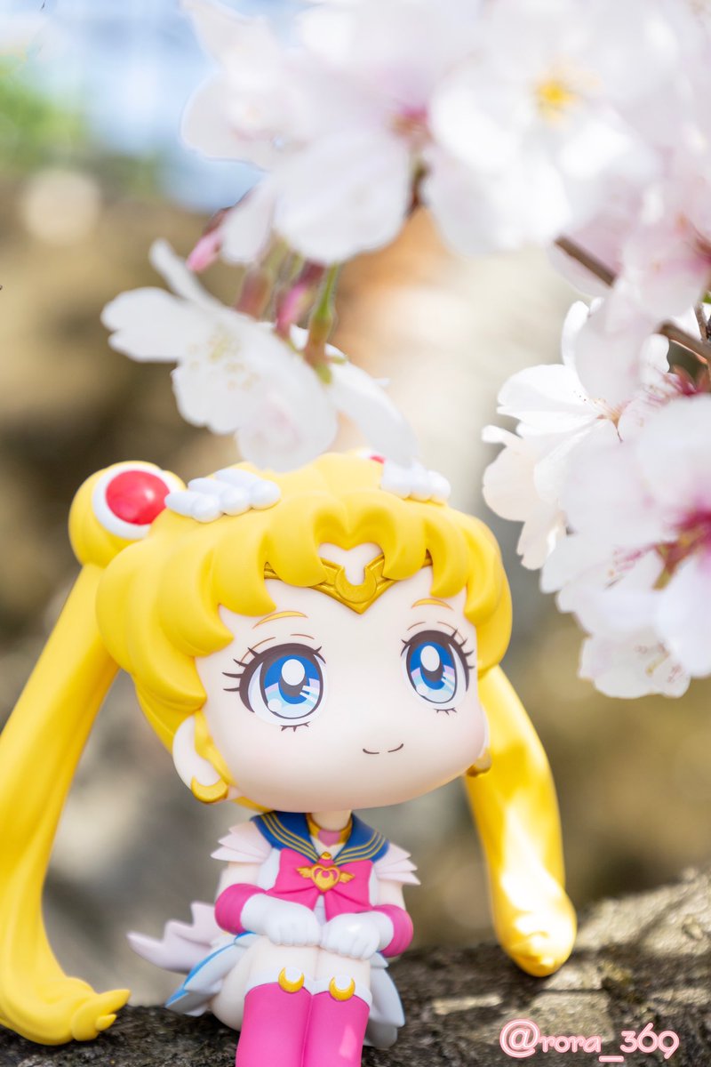 rora_369's tweet photo. るかっぷセーラームーンは可愛く撮れたかな✨
#セーラームーン #styledoll #るかっぷ #ソメイヨシノ https://t.co/FSOJoyrztd