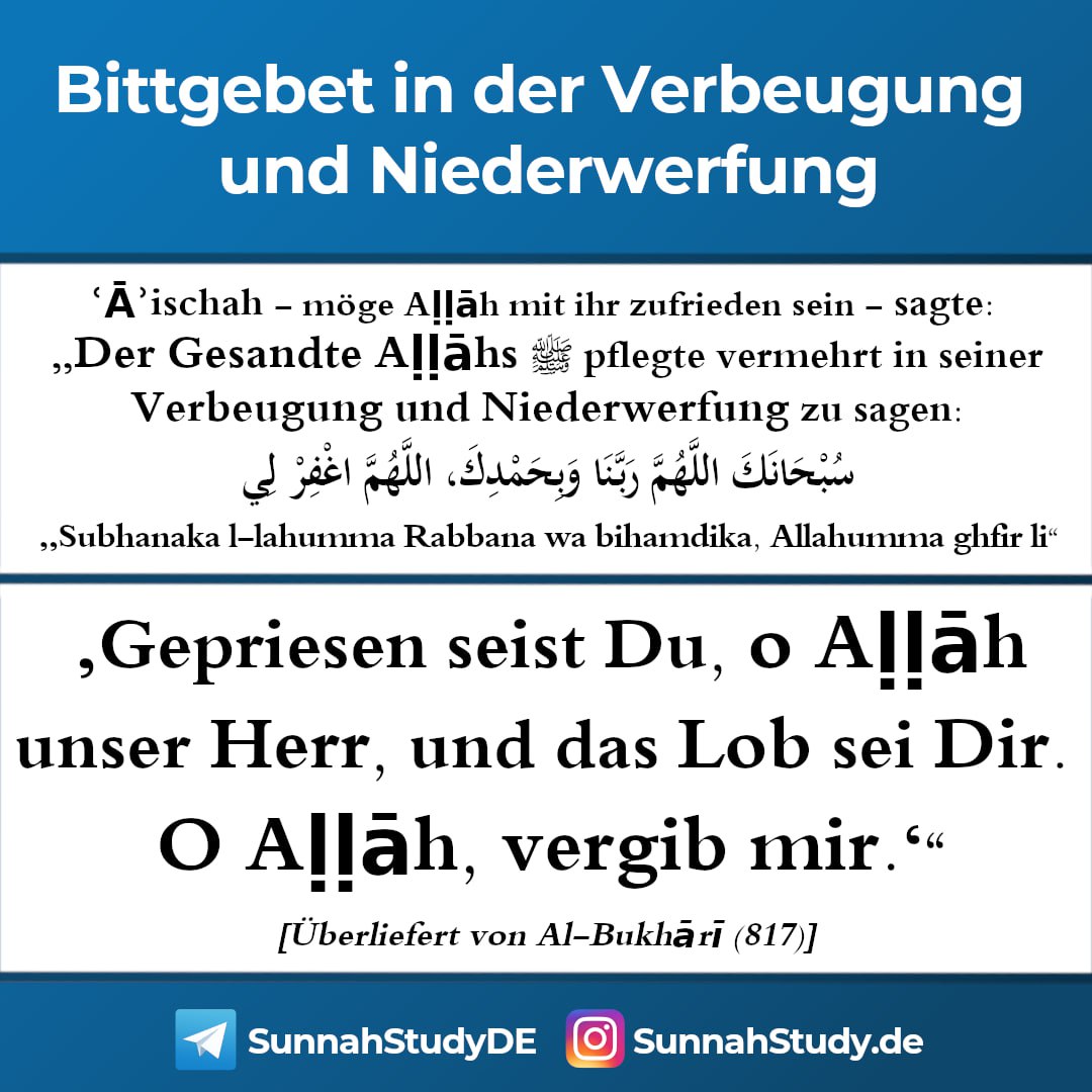 SunnahStudyDE's tweet photo. 📖 Bittgebet in der Verbeugung und Niederwerfung
https://t.co/Tn9UzDo1gh
#SunnahStudy #Bittgebet #Dua #Sunnah #Hadith #Hadithe https://t.co/ez8f7rR1r1