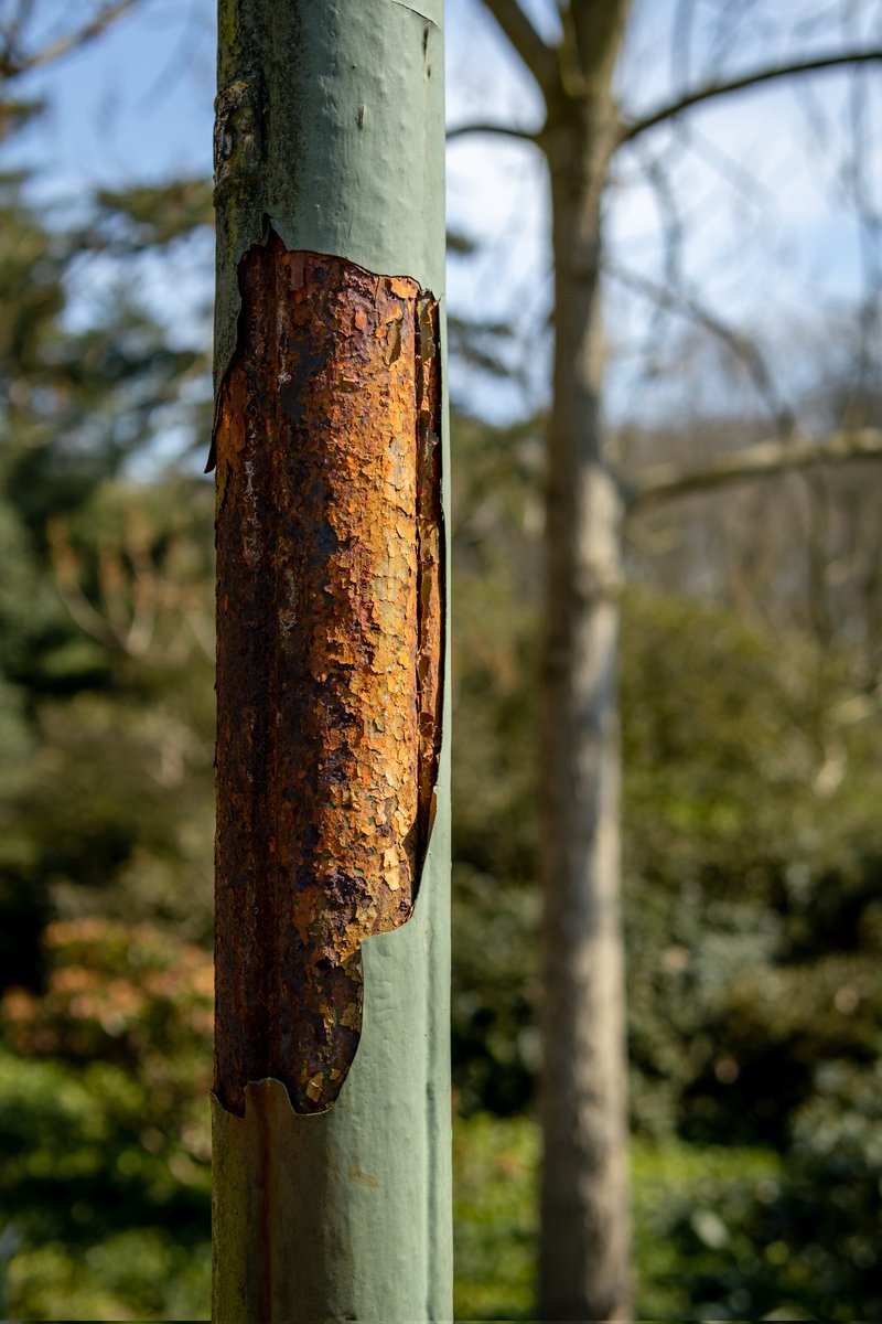 Rostig

#gehtrausundmachtfotos #werdasliestistwunderschön #scheissaufhashtags #eosm50markii #ichbineinbremer #bremenerleben #bremermoment #lovebremen #feelbremen #visitbremen #wirsindbremen #meinbremen #bürgerparkbremen #rusty