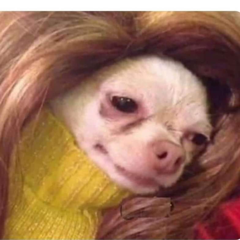 Ahora que hizo Carolina Braedt????
🙄 Sigue la novela