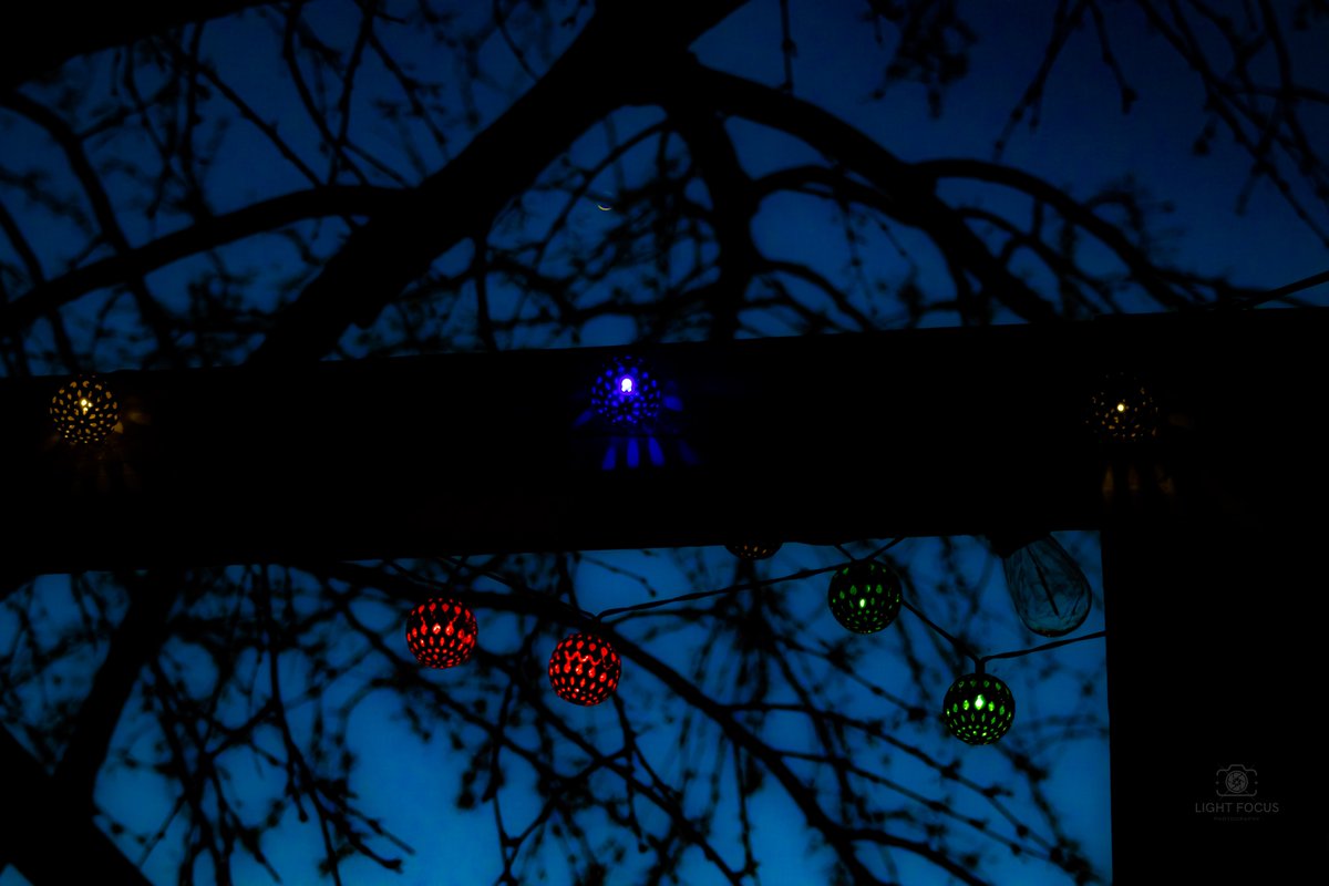 Jupiter looking down from the heavens to the little lights in my backyard. #nightphotography #jupiter #dslr #dslrphotography #gardenlights #nightlights #photography #photooftheday #picoftheday #arizonaphotography #arizonalife