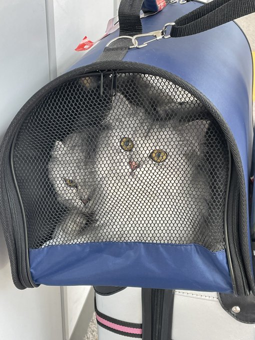 Twitterのコスプレ画像36